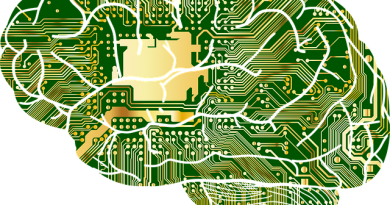 networking e reciprocidade