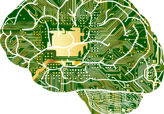 networking e reciprocidade