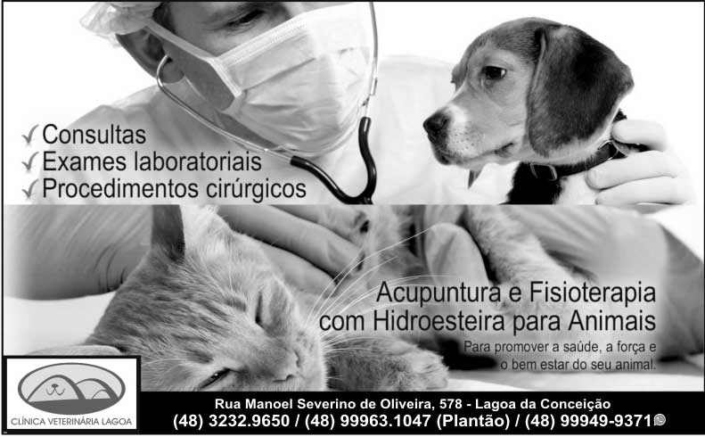 clinica veterinaria lagoa fpolis