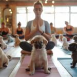 Puppy-Yoga-em-Florianopolis-promove-adocao-de-filhotes