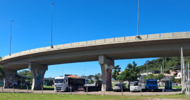 Skate: bowl público no Elevado do Rio Tavares promete revitalizar área do Sul da Ilha para o uso da comunidade