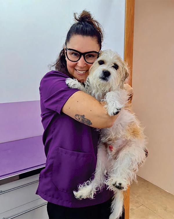 PETS e Co - campeche _