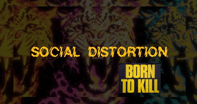 SOCIAL DISTORTION NO BRASIL-3
